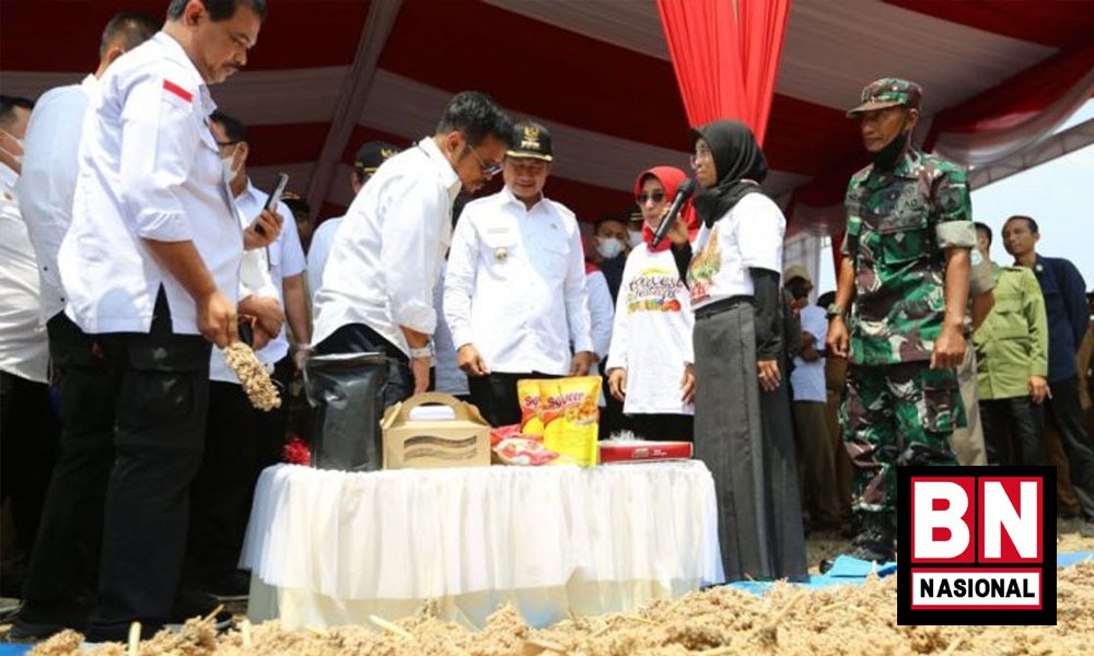 Mentan Syahrul Ingin Pengembangan Sorgum hingga Jadi Komoditas Strategis - BN Nasional