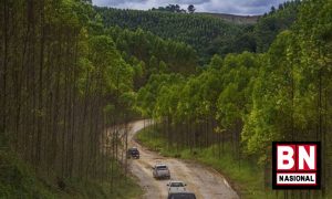 Pemerintah Masih Godok PP Insentif Investasi IKN Nusantara - BN Nasional