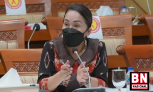 DPR Minta Pemerintah Harus Aktif Telusuri Pasien Gangguan Ginjal Akut di Daerah Terpencil