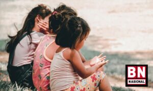 IDAI Catat 131 Kasus Gangguan Ginjal Akut Misterius pada Anak di 14 Provinsi Indonesia - BN Nasional