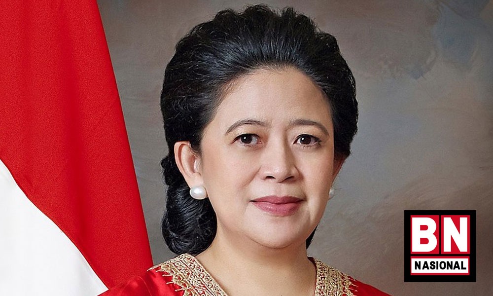 Puan Dinilai Lebih Tepat Lanjutkan Kepemimpinan Megawati di PDIP - BN Nasional