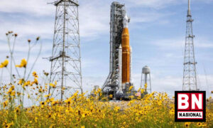 Roket Artemis 300x180