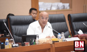 2078 IUP Berencana Dicabut Kementerian Investasi, Berpotensi Pendapatan Negara Hilang dan Bermunculan Penambang Liar