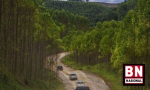 Satgas IKN Berharap Studi Kelayakan “Immersed Tunnel” Selesai di 2023