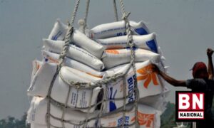 Serikat Petani Tolak Impor Beras, Pertanyakan Kerja Bulog dan Badan Pangan Nasional