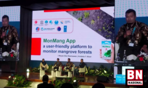 Aplikasi Monitoring Mangrove (MonMang) merupakan aplikasi yang menggunakan teknologi kecerdasan buatan (AI) untuk memonitor hutan mangrove yang dibangun berdasarkan data hasil riset yang telah dilakukan oleh beberapa institusi dari berbagai negara dan terus berlanjut hingga saat ini.