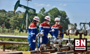 Pertamina Temukan Cadangan Gas 931 BCFG dan Minyak 144 MMBO Sepanjang 2022