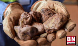 Anggota Komisi VII DPR RI Dorong Tutup Impor Bauksit dengan Perbaikan Aturan untuk Dukung Industri Dalam NegeriAnggota Komisi VII DPR RI Dorong Tutup Impor Bauksit dengan Perbaikan Aturan untuk Dukung Industri Dalam Negeri