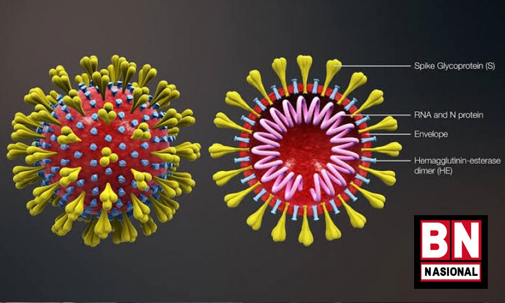 Musim Liburan Berakhir, Kasus Positif Covid di Indonesia Melonjak di Awal Tahun 2023