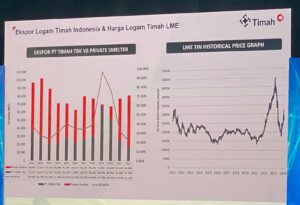 IMG 20230224 WA0316 300x205