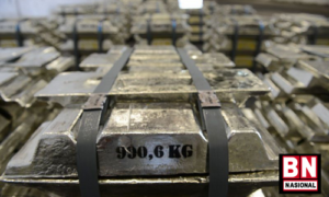 Ditjen Minerba Berencana Hapuskan Pajak Timah Lokal untuk Industri Agar Harga Solder Indonesia Bersaing