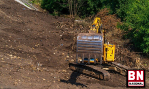 Pembentukan Ditjen Gakkum ESDM Bukan Jalan Keluar Penanganan Tambang Ilegal