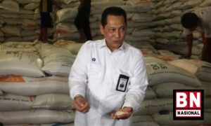 Buwas : Cadangan Beras Pemerintah di Bulog Mayoritas Impor