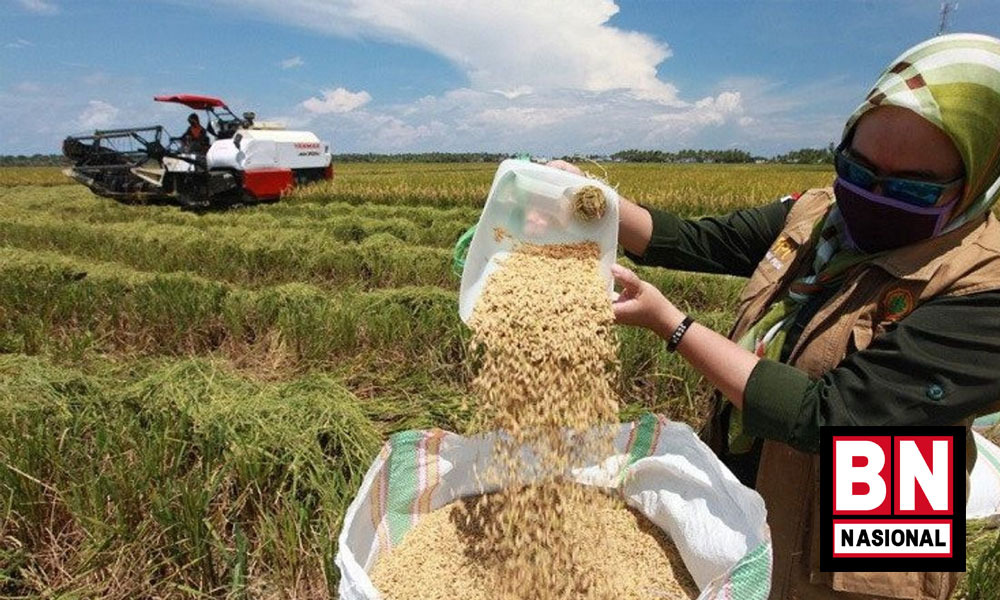 Wamendag : Sistem Resi Gudang (SRG) Mengangkat Kesejahteraan Petani