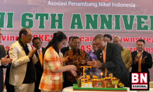 Tumline BnNasional 38 300x180