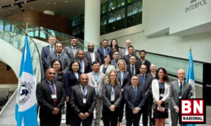 KLHK Bersama UNODC dan Interpol Membahas Pencucian Uang dalam Kejahatan Lingkungan