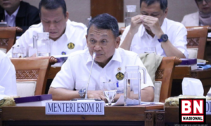 Tumline BnNasional 20 300x180