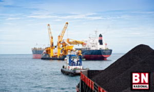 Indika Energy Boncor Setengah Triliun Karena IUPK
