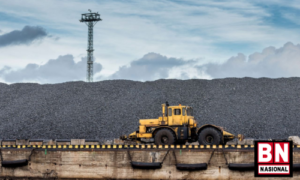HBA Bulan Mei Turun Dibandingkan April 2023