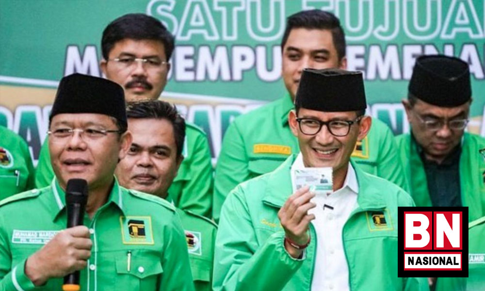 12 Ppp