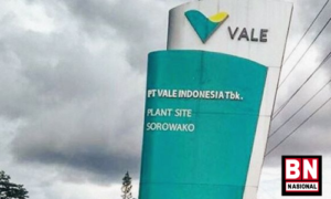 PT Vale Rela Lepas Divestasi Lebih Dari 11%, Namun Pegang Operasional dan Finansial