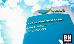PT Vale Masih Sembunyikan Harga Saham Divestasi