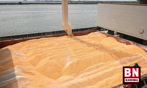 20230717 185041 0000