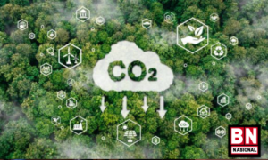 Karbon Trading Launching September 2023, Semua Terintegrasi KLHK