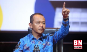 Tumline BnNasional 46 300x180