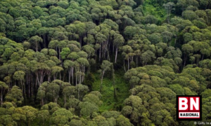 Indonesia Bisa Menampung CO2 Sampai 400 Gigaton, Duitnya Ratusan Triliun