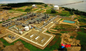 Tumline BnNasional 41 300x180