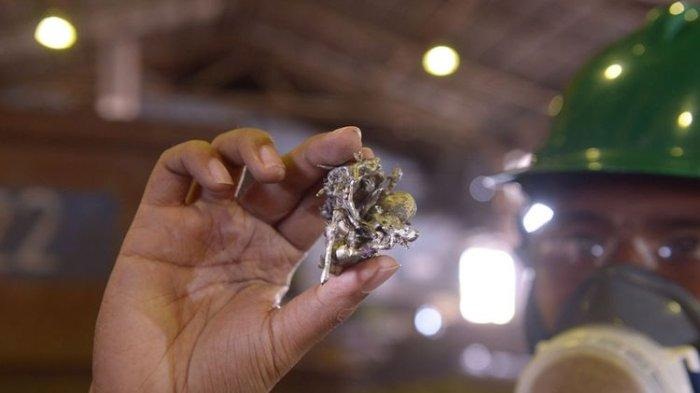 WhatsApp Image 2023 08 29 At 14.21.40