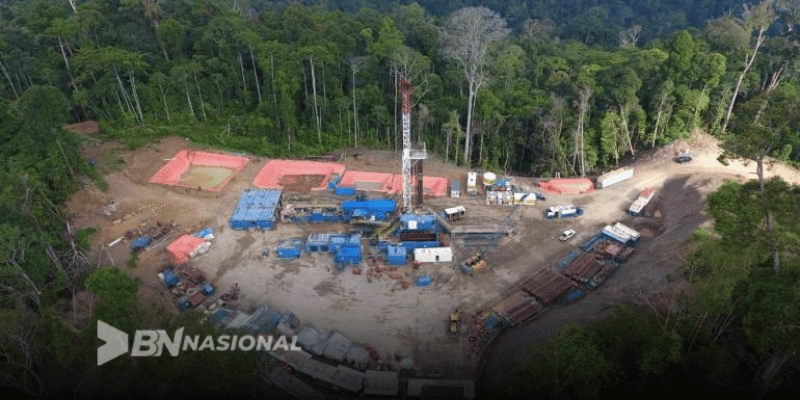 Nas Bor Minyak Di Hutan