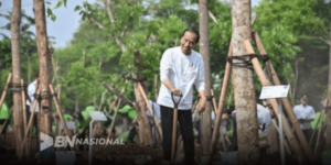 Nas Presiden Tanam Pohon 300x150