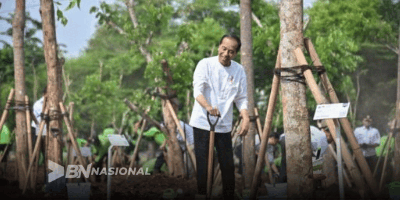 Nas Presiden Tanam Pohon