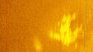 Bercak Sonar Ini Bisa Jadi Pesawat Amelia Earhart yang Hilang