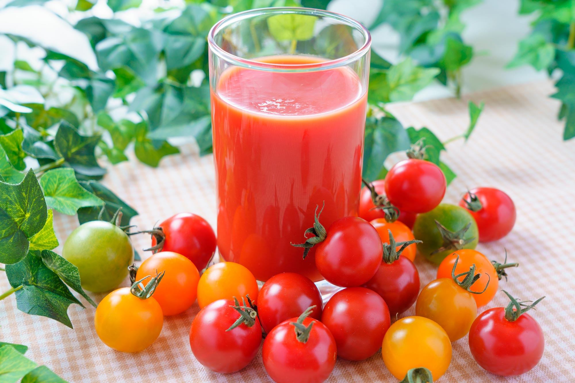 Jus Tomat Efektif Membunuh Salmonella dan Bakteri Berbahaya Lainnya
