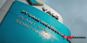 23 VALE 300x150