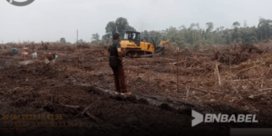 27 Lahan 300x150