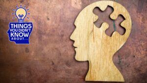 Hal-Hal yang Tidak Anda Ketahui Tentang Memori