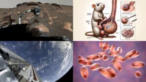 NASA Bekerja untuk Memperbaiki Perseverance Rover di Mars dari Jarak Jauh