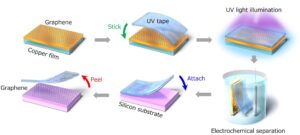SciTechDaily