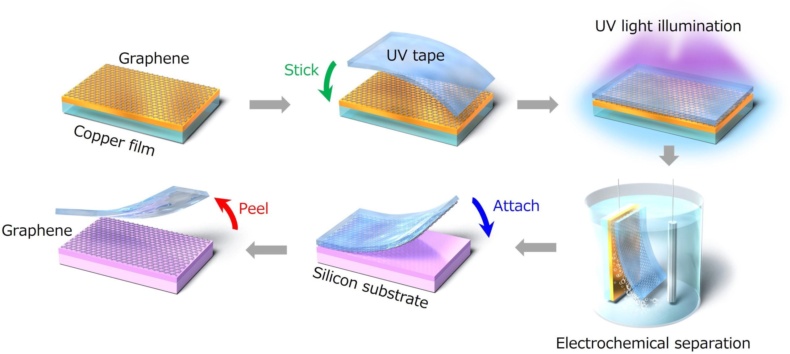 SciTechDaily