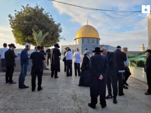 Puluhan pemukim mengotori Masjid Aqsa