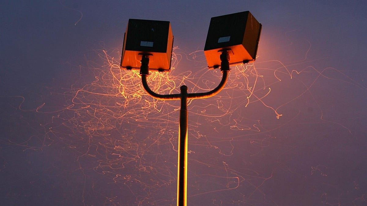 Serangga Tidak Tertarik pada Cahaya Buatan.  Mereka Disiksa oleh Mereka