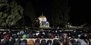 22 Palestina 300x150