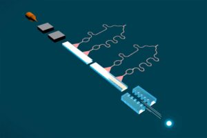 SciTechDaily