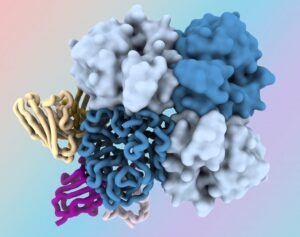 SciTechDaily
