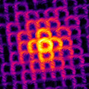 SciTechDaily