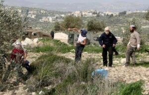Pemukim ekstremis menyerang warga Palestina di Jericho, wilayah Tepi Barat lainnya